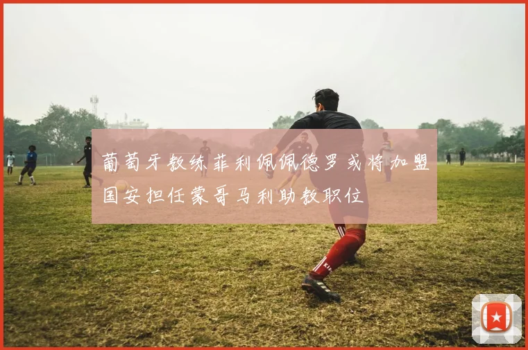 葡萄牙教练菲利佩佩德罗或将加盟国安担任蒙哥马利助教职位