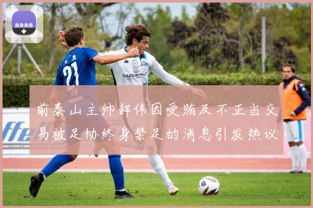 前泰山主帅郝伟因受贿及不正当交易被足协终身禁足的消息引发热议